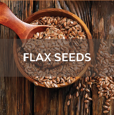 Flax Seeds